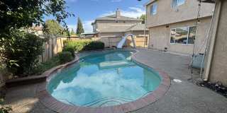 4101 Rose Parade Gallery 10