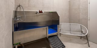 The Capitol The Capitol Gallery 28