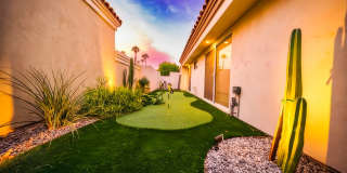79840 Arnold Palmer Gallery 9