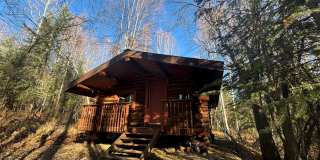 Dry cabin off Goldstream / Dog friendly Gallery 1