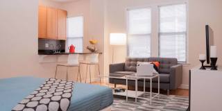 Windermere Harrowgate Gallery 5