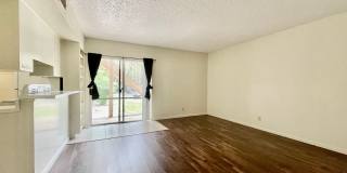 126 Scott St Gallery 1