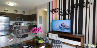 AMLI Dadeland Gallery 21