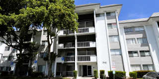 711 N Pine Island Rd Gallery 1