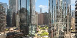 505 N McClurg Court Gallery 28