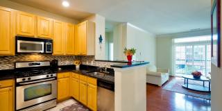 Elegant 2BD Condo with Unbeatable Access & Premium Features in Arlington w/ Parking! Elegant 2BD Condo with Unbeatable Access & Premium Features in Arlington w/ Parking! Gallery 5
