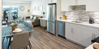 nVe at Fairfax Gallery 7