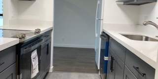 Belltown Condo- Newly renovated one bedroom 9th floor Gallery 7
