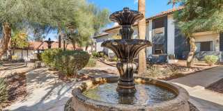 Fountain Palms Gallery 27