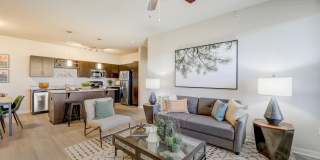 Springs at Five and Main Gallery 1