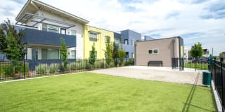 Olympus at Daybreak Gallery 1