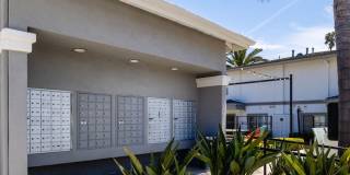 Ava Newport Gallery 17