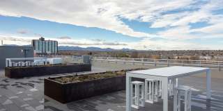 1515 Flats Gallery 47