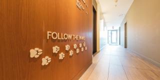 Aven Aven Gallery 31