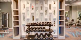 Allure Apollo Gallery 18