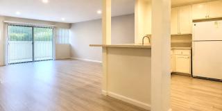 2607 Pirineos Way - 111 Gallery 2