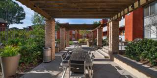 River Ranch Gallery 52