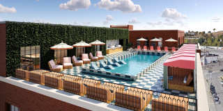 Memoir May Hosiery Gallery 6