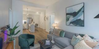 The Carson Gallery 6