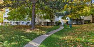 Peaks on Pines Gallery 26