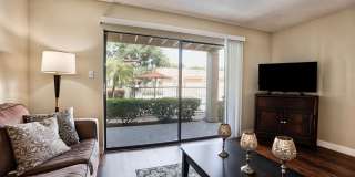 Royal Palms Gallery 5