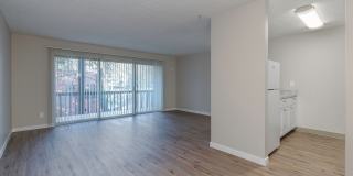 The Maples Gallery 24