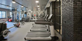 2201 Wilson Gallery 24