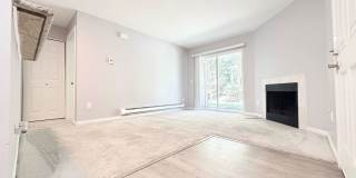 Saybrook Condo! 1 Bed/1 Bath with In-Unit Washer & Dryer & Covered Patio! Gallery 8
