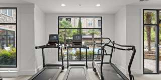 Cortland Oleander Gallery 29