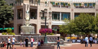 Harrison at Reston Town Center Gallery 45