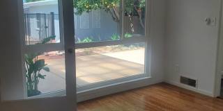 Recently Upgraded and Refreshed House with Pool and Casita Gallery 47
