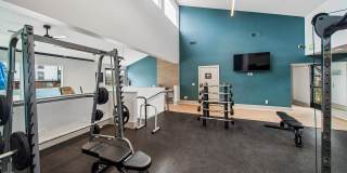 ReNew Pinehurst Gallery 30