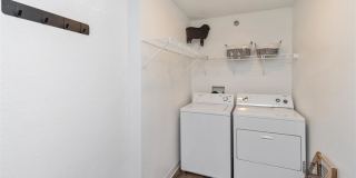 Zen Chaska Zen Chaska Gallery 14