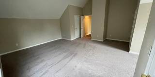 3635 Pauline Ln Gallery 31