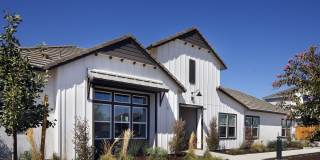 Sierra Vista Gallery 29