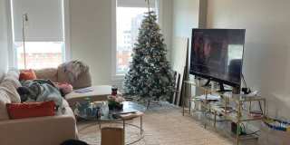 Beautiful Southie apartment Gallery 8