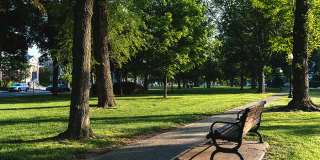 The Green at Bloomfield Gallery 20