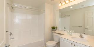 Laurel Vista Apartment Homes Gallery 37