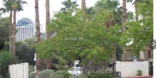 3926 Bushnell Drive Gallery 14