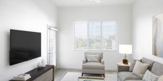 Velaire at Aspera Gallery 10