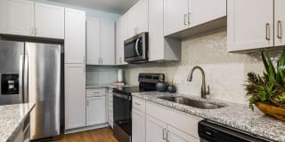 Trilogy Chapel Hill Gallery 9