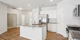 Poplin Trace Gallery 35