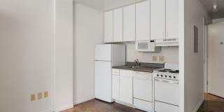 Vogel House Gallery 86