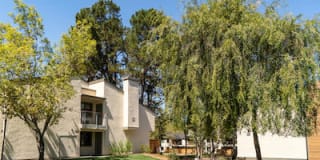 Sharon Green Gallery 45