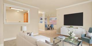 The Marque Gallery 4