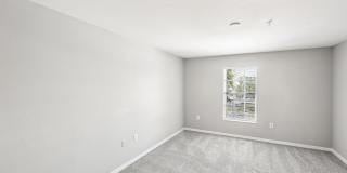 Coral Cove Gallery 24