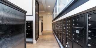 Alta Longwood Gallery 42