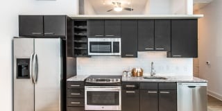 Lex and Leo at Waterfront Station Gallery 10