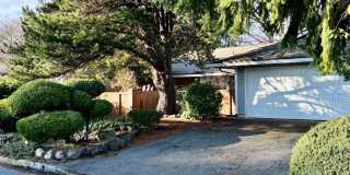 3 Bed / 2.5 Bath Bellevue rambler $3,995/month Gallery 1