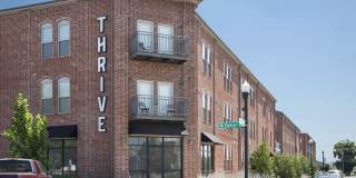 Thrive Argenta Gallery 6